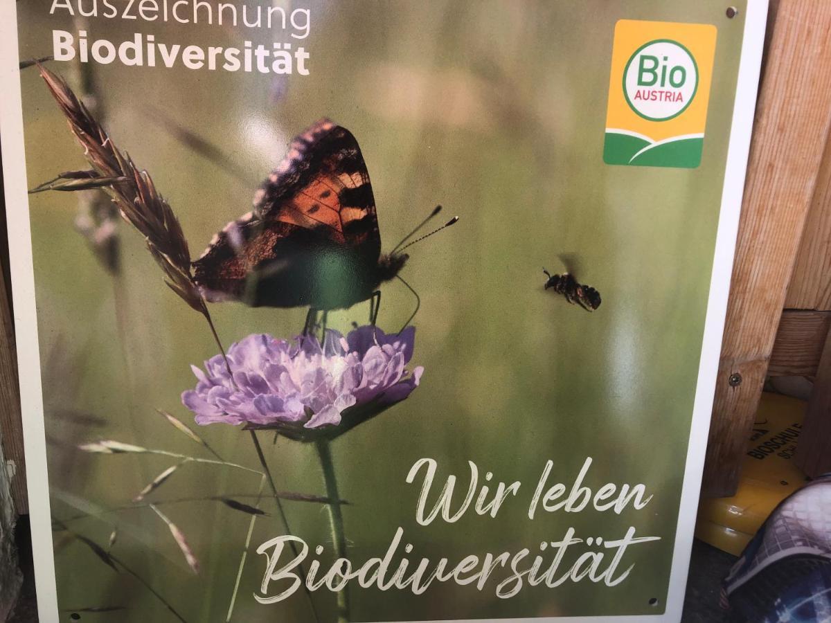 Apartament Biohof Sauschneider Sankt Margarethen im Lungau Zewnętrze zdjęcie